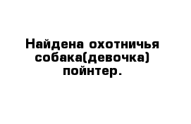 Найдена охотничья собака(девочка) пойнтер.